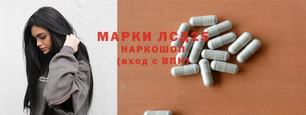шишки Арсеньев