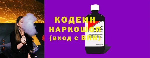 шишки Арсеньев