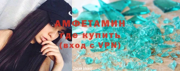 шишки Арсеньев