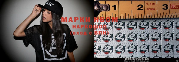 шишки Арсеньев