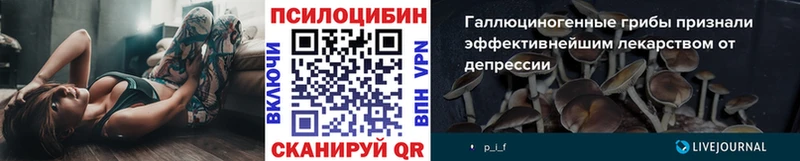 Псилоцибиновые грибы Psilocybine cubensis  закладка  Судогда 
