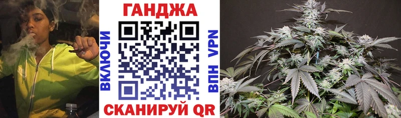 Канабис SATIVA & INDICA  как найти закладки  Судогда 